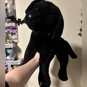 XL 24 Inch, Douglas James Black Lab